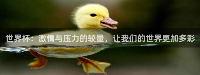 2026葡萄牙杯赛程表：世界杯：激情与压力的较量，让我们的世界更加多彩