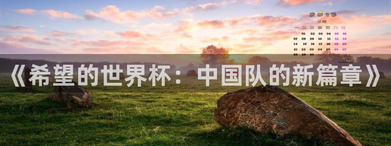 2026世界杯直播免费观看：《希望的世界杯：中国队的新篇章》