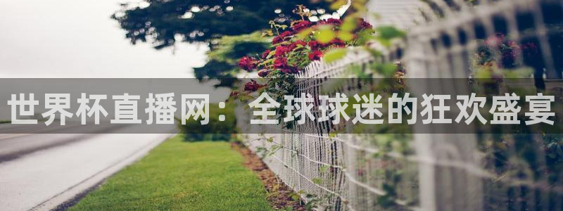 2026世界杯南美区积分榜：世界杯直播网：全球球迷的狂欢盛宴