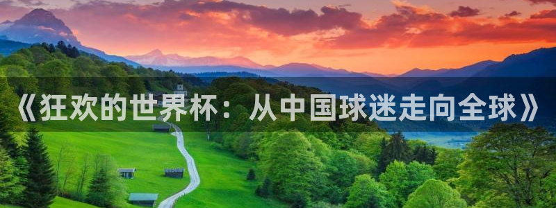 世界杯足球比赛：《狂欢的世界杯：从中国球迷走向全球》