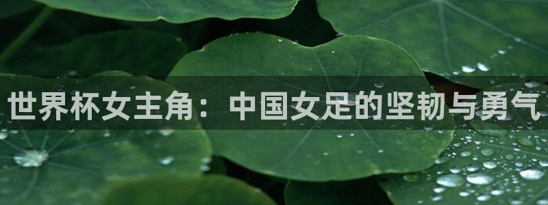 2006年世界杯冠军：世界杯女主角：中国女足的坚韧与勇气