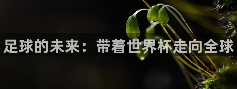 世界杯直播平台：足球的未来：带着世界杯走向全球