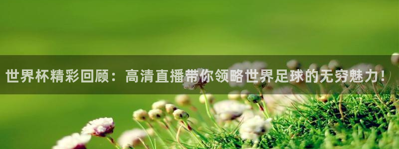 世界杯 赛程：世界杯精彩回顾：高清直播带你领略世界足球的无穷魅力！