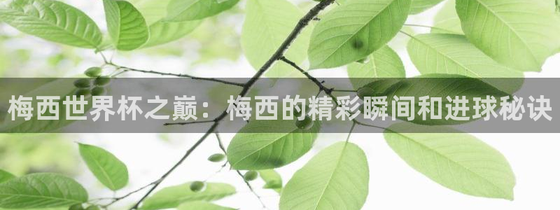 世界杯球队：梅西世界杯之巅：梅西的精彩瞬间和进球秘诀