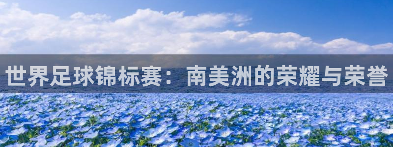世界杯第一场比赛：世界足球锦标赛：南美洲的荣耀与荣誉