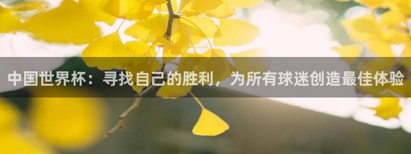 2026世界杯赛程：中国世界杯：寻找自己的胜利，为所有球迷创造最佳体验