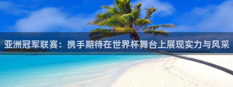 欧洲世界杯预选赛：亚洲冠军联赛：携手期待在世界杯舞台上展现实力与风采