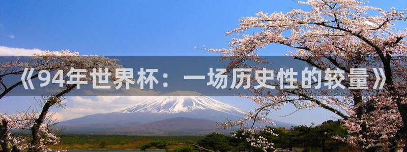 世界杯比赛赛程：《94年世界杯：一场历史性的较量》