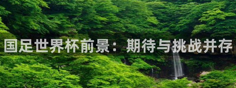 英足总杯直播：国足世界杯前景：期待与挑战并存