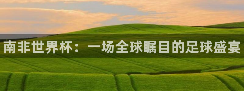 世界杯预选赛亚洲：南非世界杯：一场全球瞩目的足球盛宴