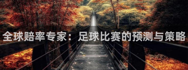 世界杯欧洲预选赛赛程：全球赔率专家：足球比赛的预测与策略