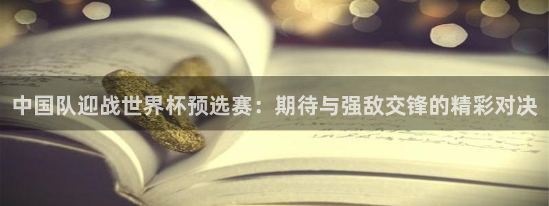 2026世界杯官网：中国队迎战世界杯预选赛：期待与强敌交锋的精彩对决