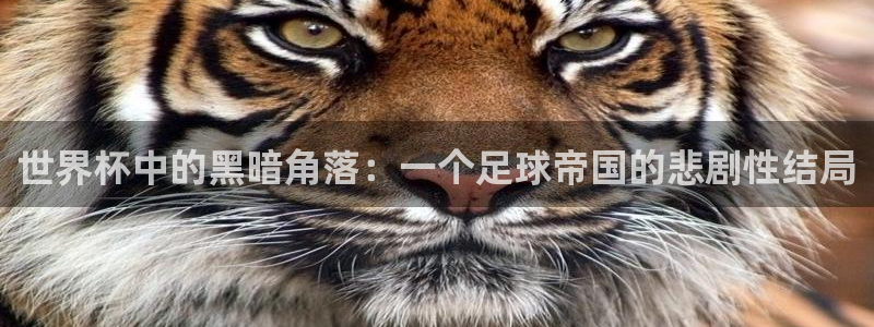 世界杯比赛直播：世界杯中的黑暗角落：一个足球帝国的悲剧性结局