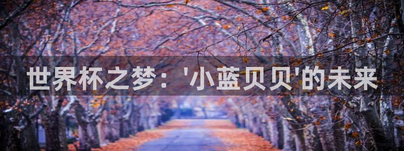 世界杯 直播：世界杯之梦：\'小蓝贝贝\'的未来